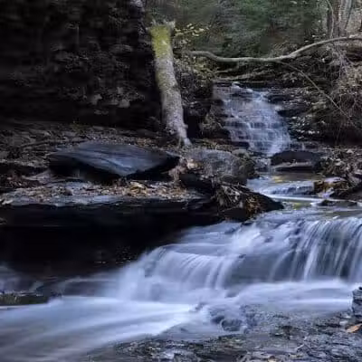 Bedford Reservation - Bedford, OH