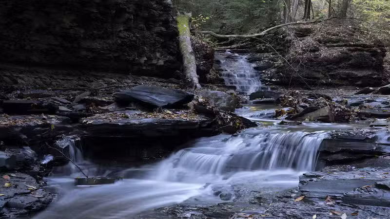 Bedford Reservation - Bedford, OH