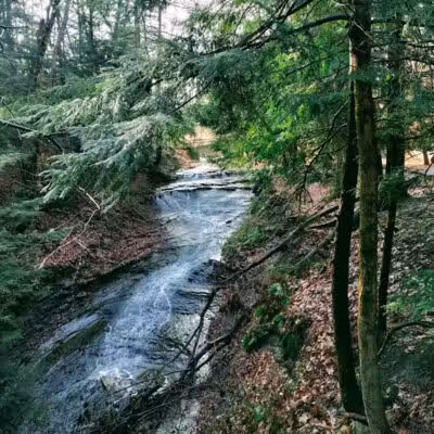 Bedford Reservation - Bedford, OH