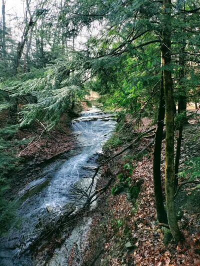 Bedford Reservation - Bedford, OH