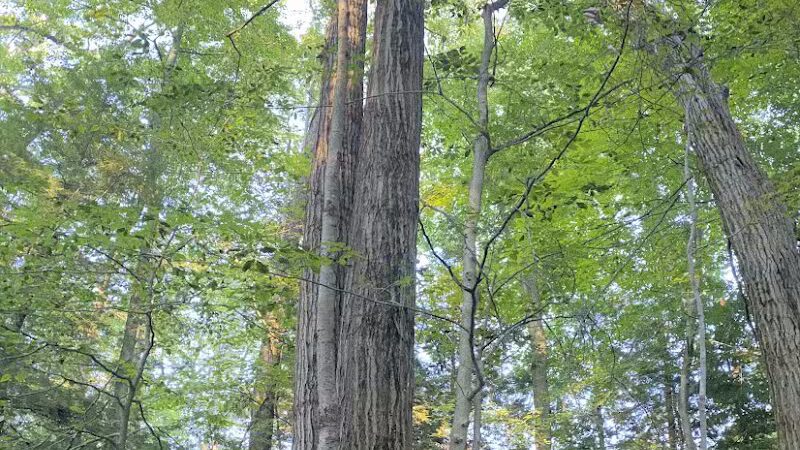 Bedford Reservation - Bedford, OH