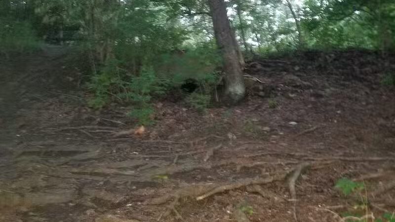 Broadway Trailhead - Bedford, OH