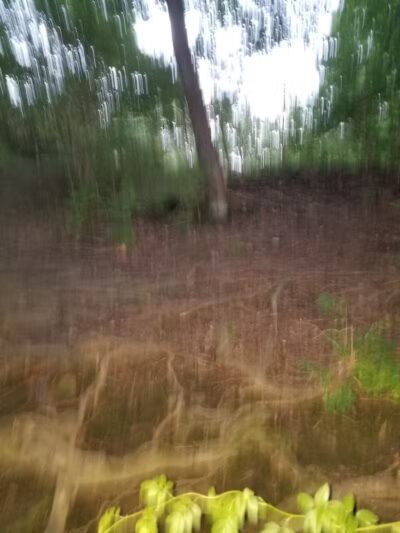 Broadway Trailhead - Bedford, OH