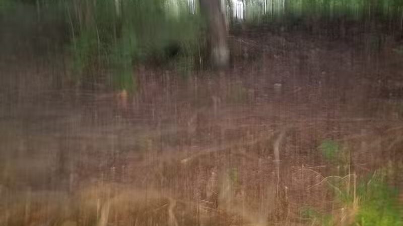 Broadway Trailhead - Bedford, OH