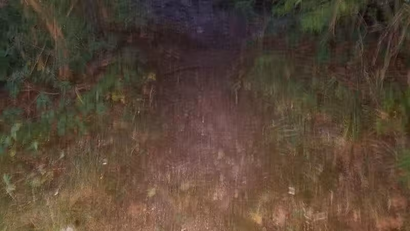 Broadway Trailhead - Bedford, OH