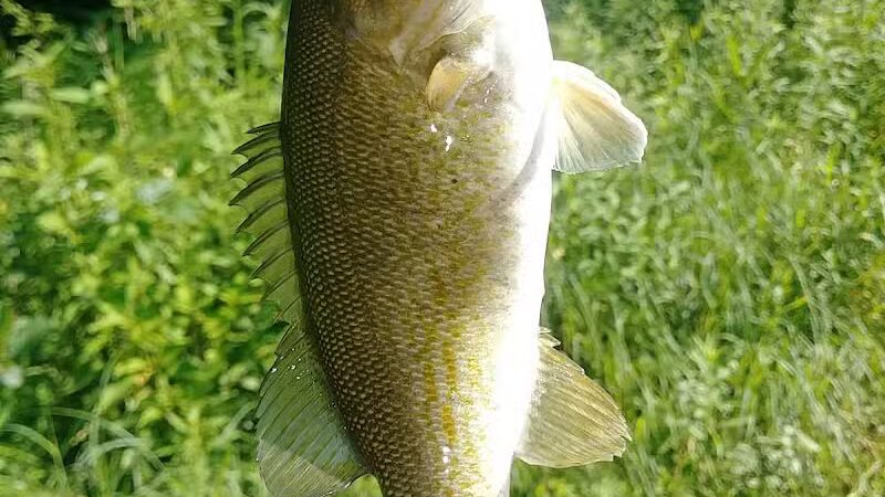 Broadway Trailhead - Bedford, OH