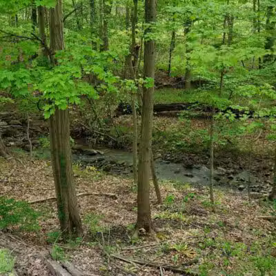 Broadway Trailhead - Bedford, OH