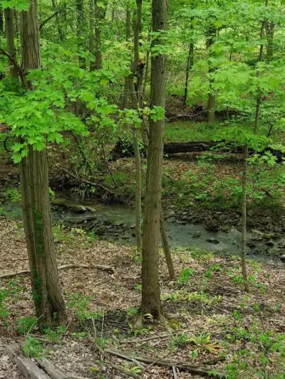 Broadway Trailhead - Bedford, OH