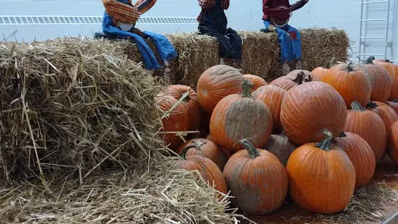 Ellenwood Center - Bedford, OH