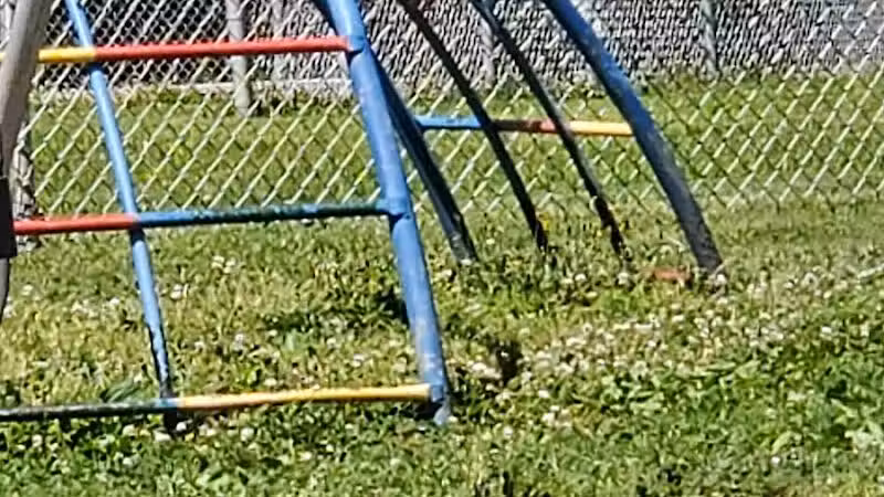 Taft Park - Bedford, OH