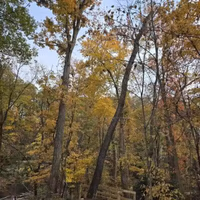 Viaduct Park - Bedford, OH