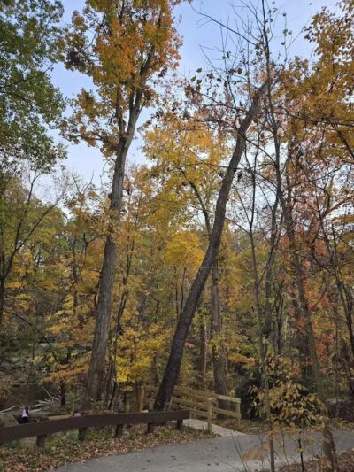 Viaduct Park - Bedford, OH