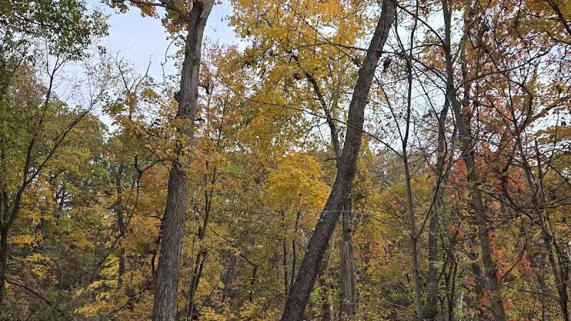 Viaduct Park - Bedford, OH