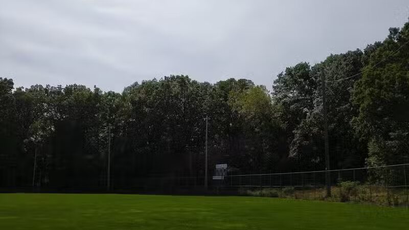 Willis Picnic Area, Bedford Reservation - Bedford, OH
