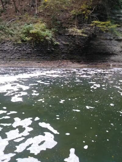 Willis Picnic Area, Bedford Reservation - Bedford, OH