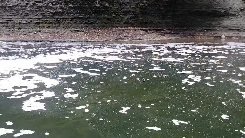 Willis Picnic Area, Bedford Reservation - Bedford, OH
