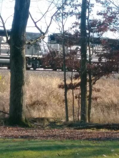 Willis Picnic Area, Bedford Reservation - Bedford, OH
