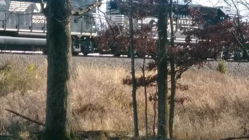 Willis Picnic Area, Bedford Reservation - Bedford, OH