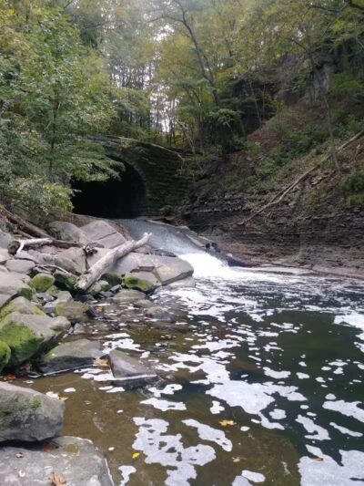 Willis Picnic Area, Bedford Reservation - Bedford, OH
