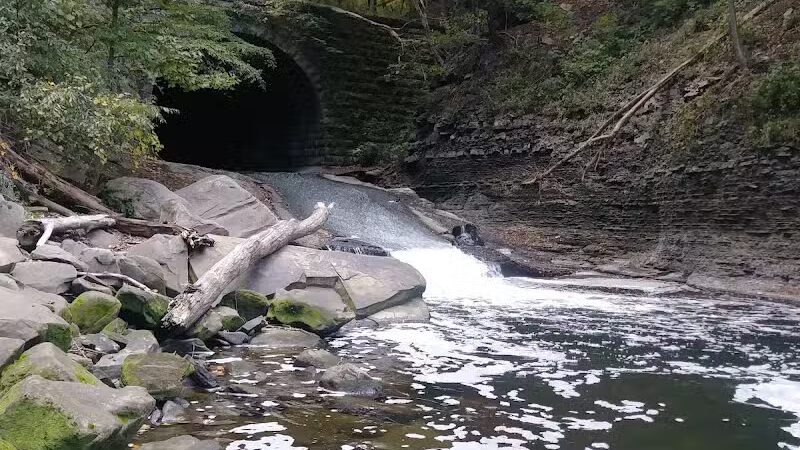 Willis Picnic Area, Bedford Reservation - Bedford, OH