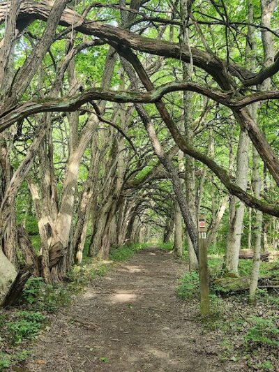 Sugarcreek MetroPark - Bellbrook, OH