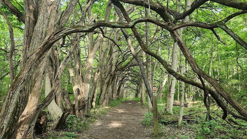 Sugarcreek MetroPark - Bellbrook, OH