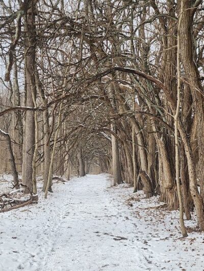 Sugarcreek MetroPark - Bellbrook, OH