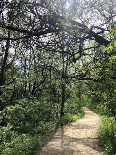 Sugarcreek MetroPark - Bellbrook, OH