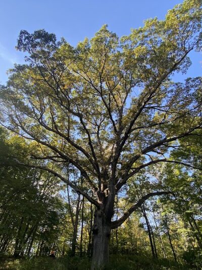 Sugarcreek MetroPark - Bellbrook, OH