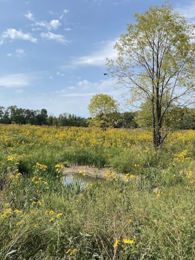 Sugarcreek MetroPark - Bellbrook, OH