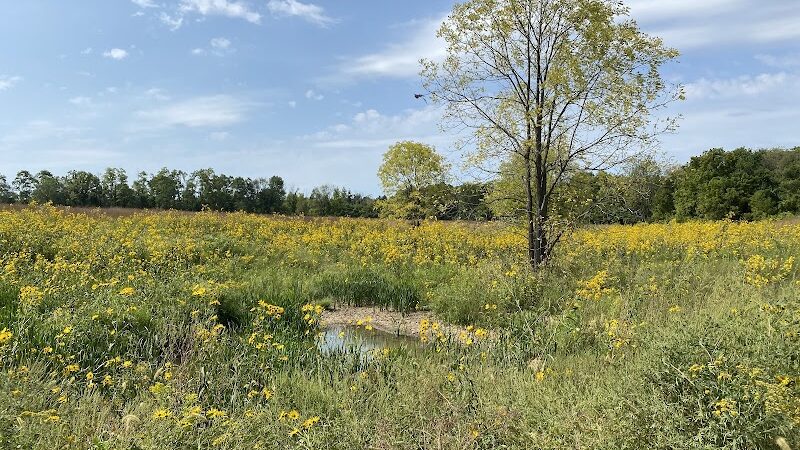 Sugarcreek MetroPark - Bellbrook, OH