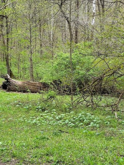 Sugarcreek MetroPark - Bellbrook, OH