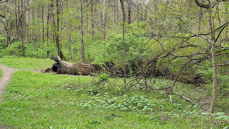 Sugarcreek MetroPark - Bellbrook, OH