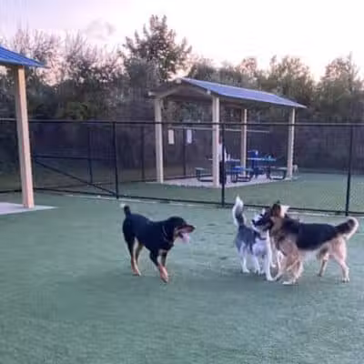 Town of Hempstead Dog Park - Bellmore, NY