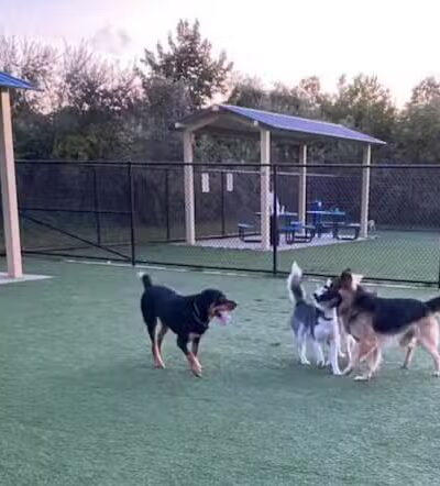 Town of Hempstead Dog Park - Bellmore, NY