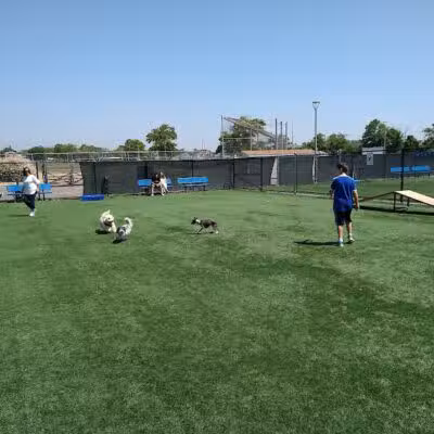 Town of Hempstead Dog Park - Bellmore, NY