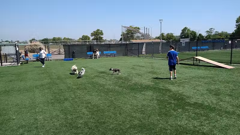 Town of Hempstead Dog Park - Bellmore, NY