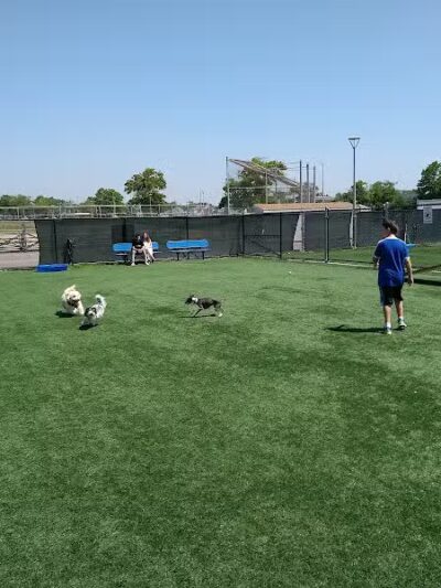 Town of Hempstead Dog Park - Bellmore, NY