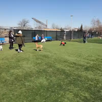 Town of Hempstead Dog Park - Bellmore, NY
