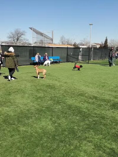 Town of Hempstead Dog Park - Bellmore, NY