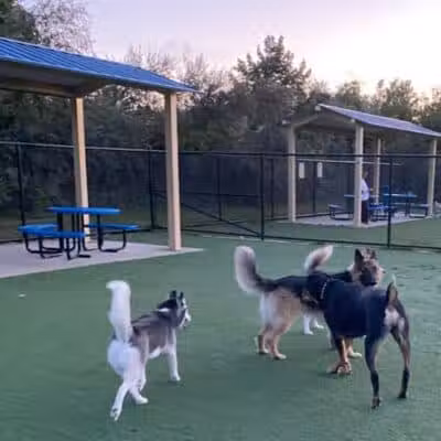 Town of Hempstead Dog Park - Bellmore, NY