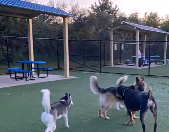 Town of Hempstead Dog Park - Bellmore, NY