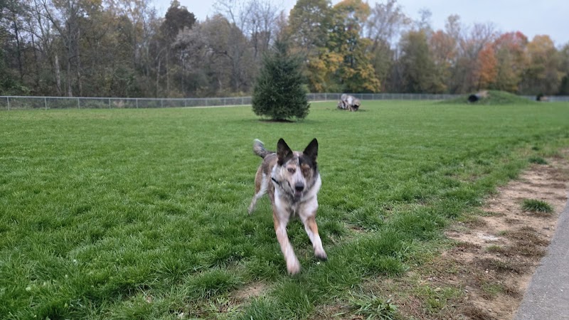 Bellville Dog Park Finnigans Run - Bellville, OH