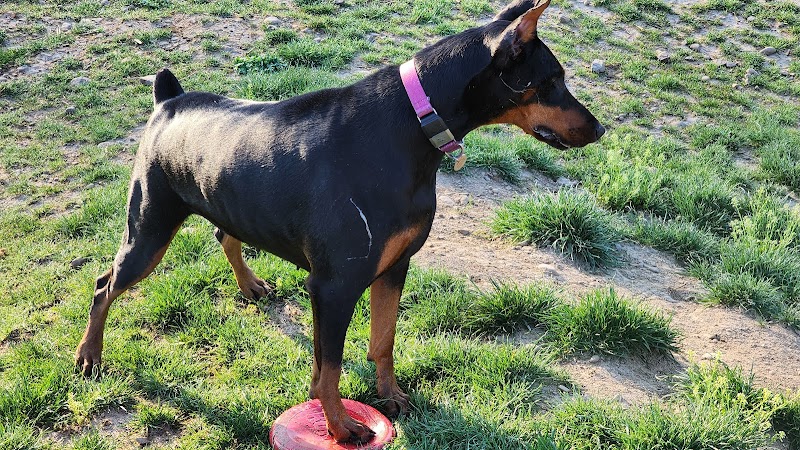 Bellville Dog Park Finnigans Run - Bellville, OH