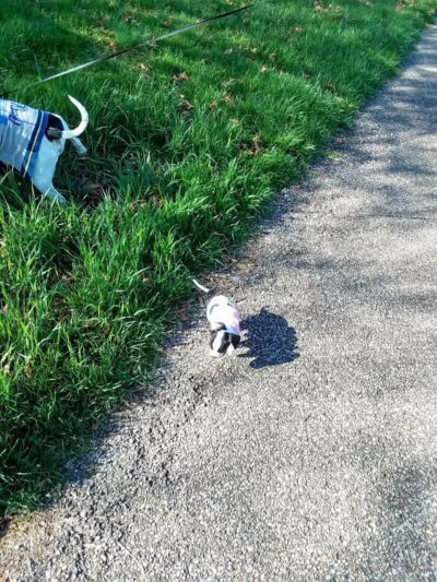 Depot Park - Belpre, OH