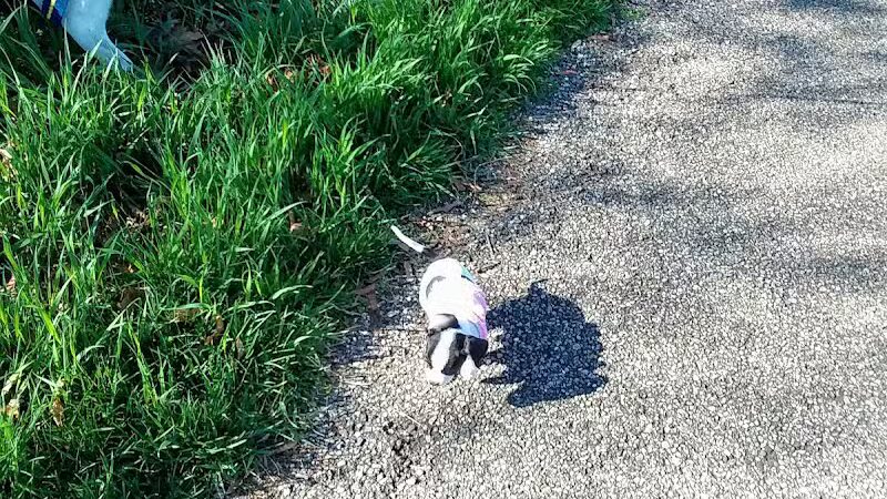 Depot Park - Belpre, OH