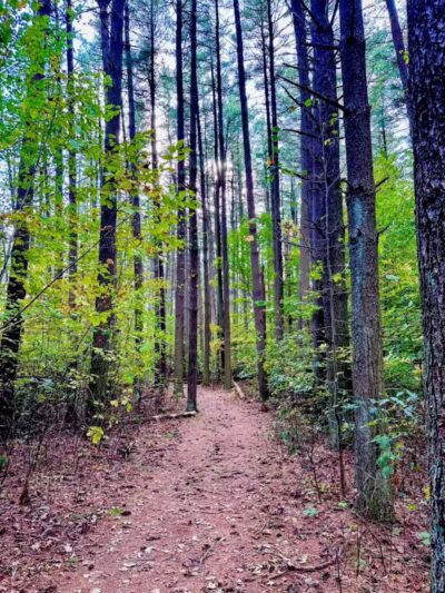 Rose Lake Trail - Benton Township, OH