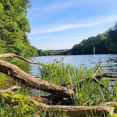 Rose Lake Trail - Benton Township, OH