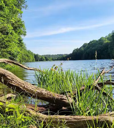 Rose Lake Trail - Benton Township, OH