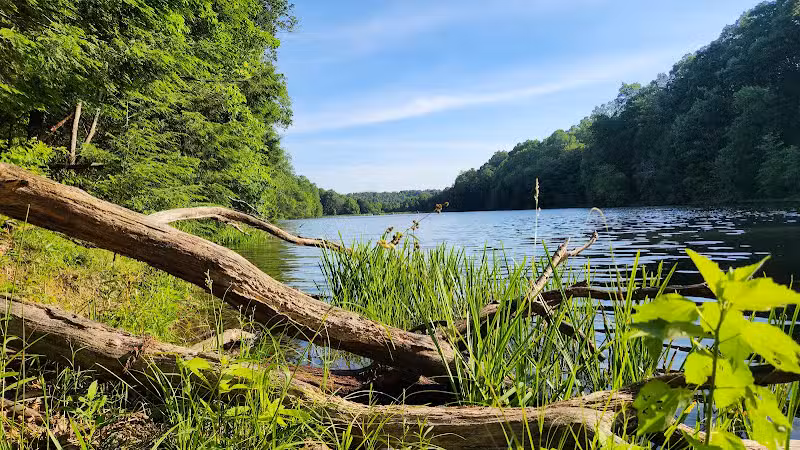 Rose Lake Trail - Benton Township, OH